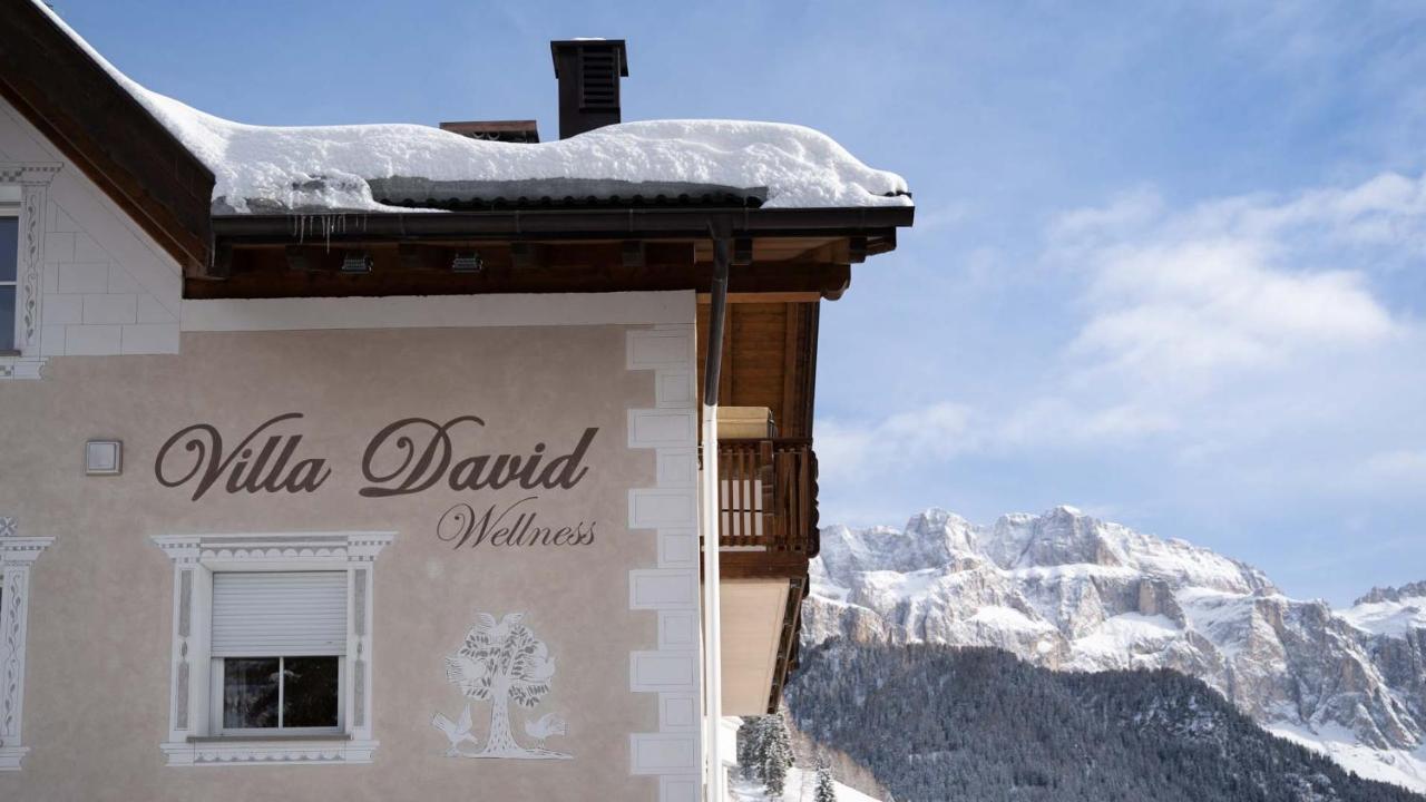 Villa David Dolomites Selva di Val Gardena Exterior photo