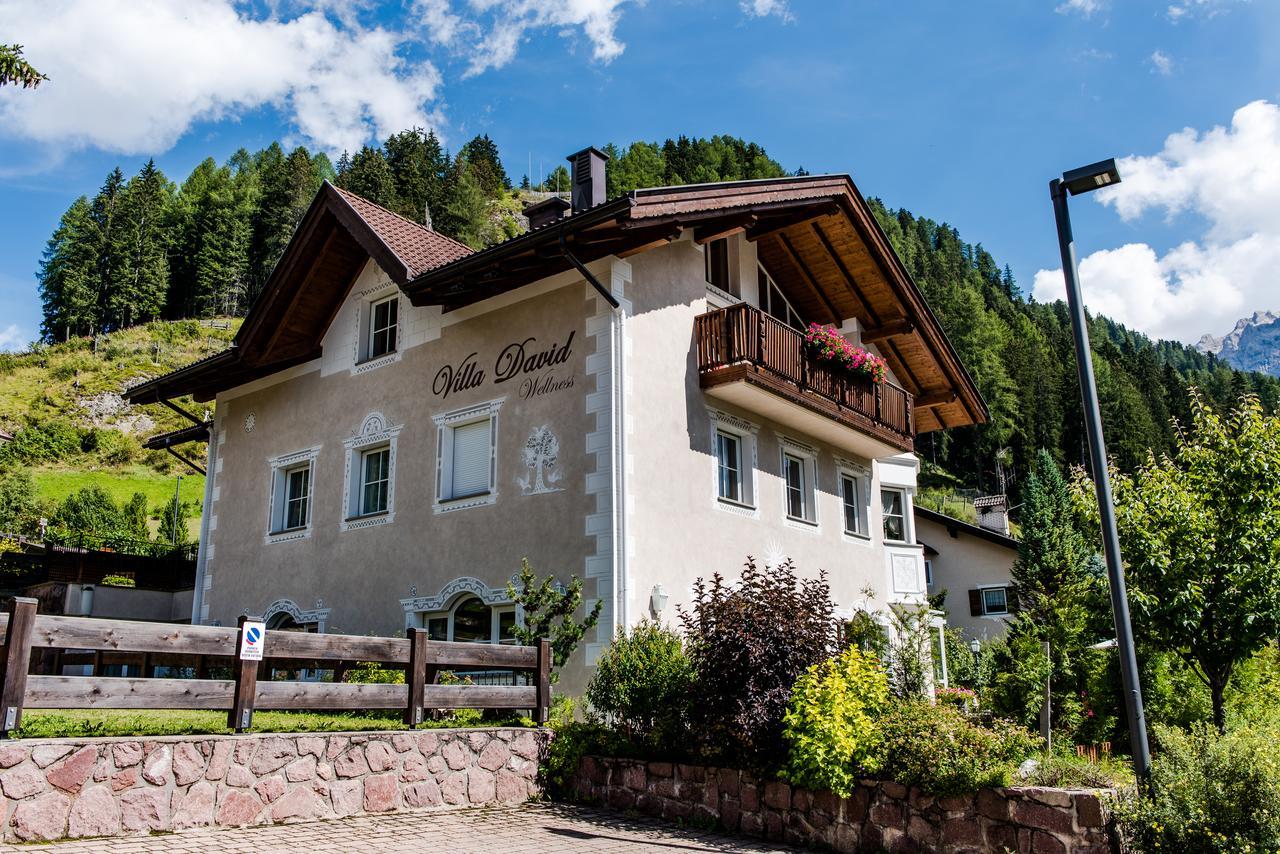 Villa David Dolomites Selva di Val Gardena Exterior photo