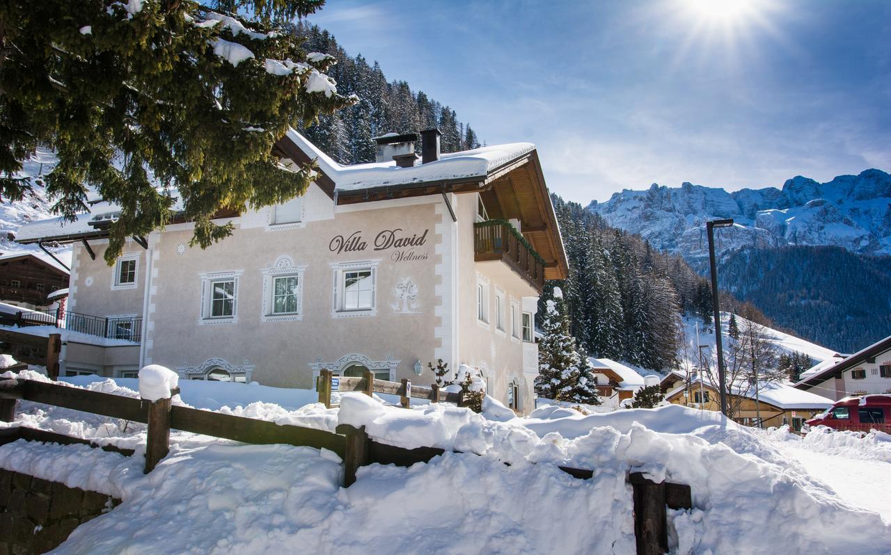 Villa David Dolomites Selva di Val Gardena Exterior photo