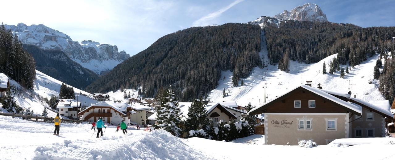 Villa David Dolomites Selva di Val Gardena Exterior photo